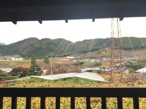 写真 2015-11-10 16 23 42