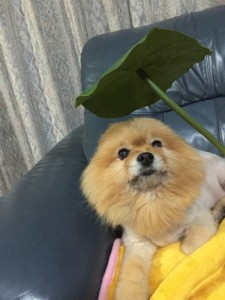 写真 2016-01-04 20 00 01