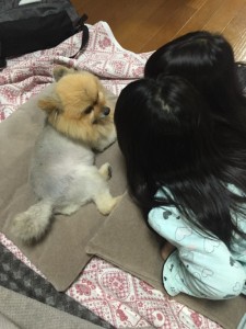 写真 2016-01-04 19 45 29