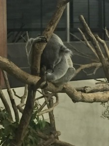 写真 2016-01-04 14 50 14