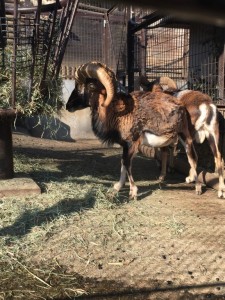 写真 2016-01-04 13 44 58