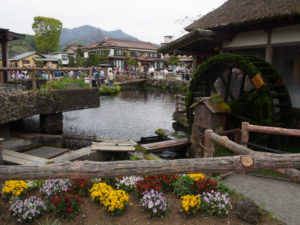 写真 2016-05-03 16 12 49