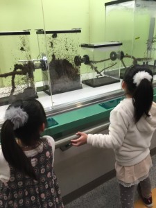 写真 2016-01-04 12 38 37