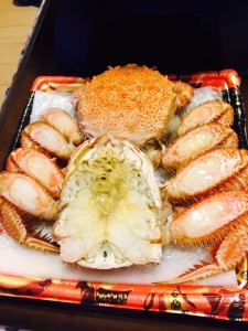 写真 2016-01-02 21 09 10