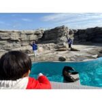 鴨川シーワールドへ♪