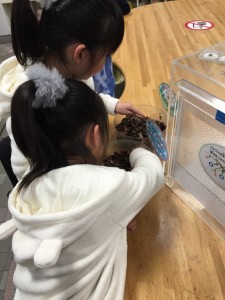 写真 2016-01-04 12 32 51