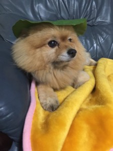 写真 2016-01-04 20 08 16