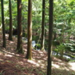 山荘キャンプ♪