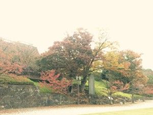 写真 2015-11-10 13 49 09