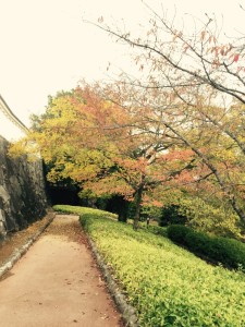 写真 2015-11-10 13 50 47