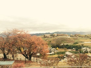 写真 2015-11-10 15 38 06