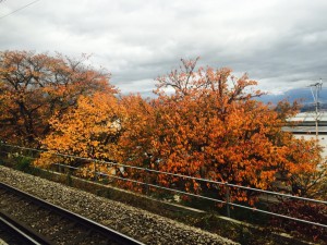 写真 2015-11-10 15 40 14